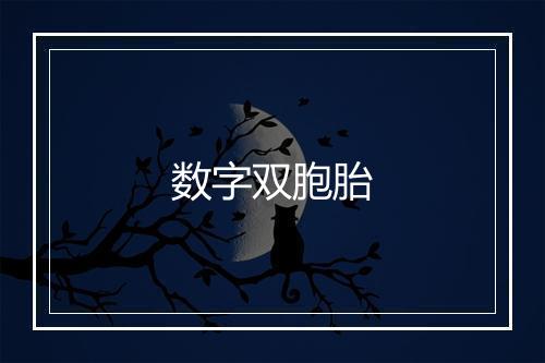 数字双胞胎