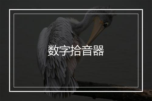 数字拾音器