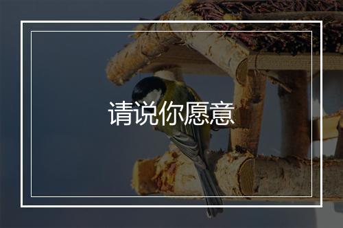 请说你愿意