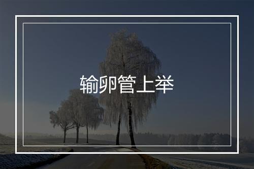 输卵管上举