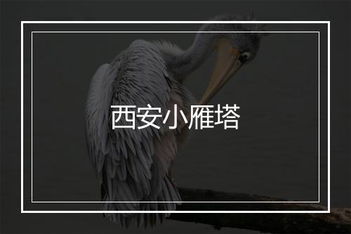 西安小雁塔