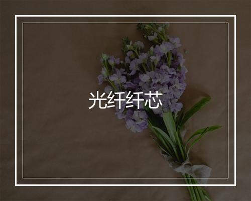 光纤纤芯