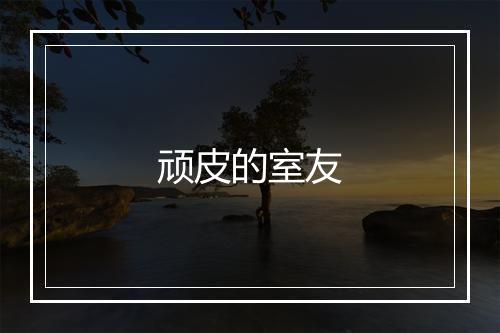 顽皮的室友