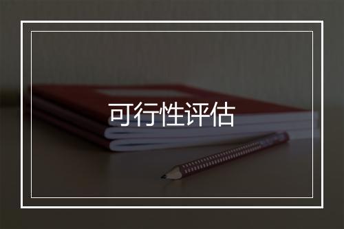 可行性评估