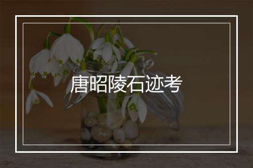 唐昭陵石迹考