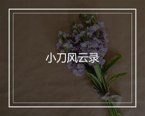 小刀风云录