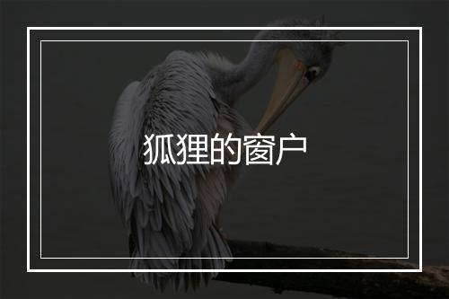 狐狸的窗户