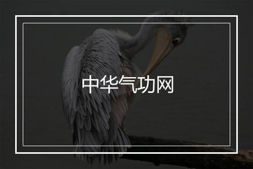 中华气功网