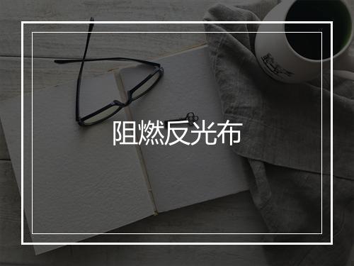 阻燃反光布