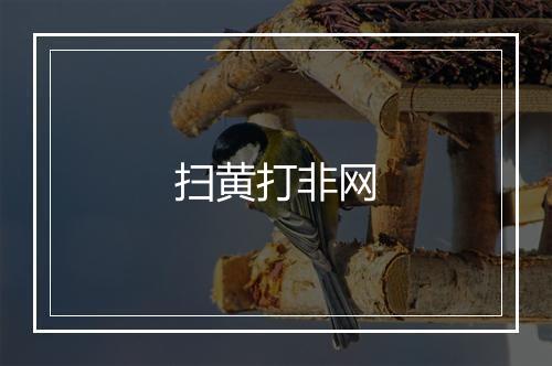 扫黄打非网