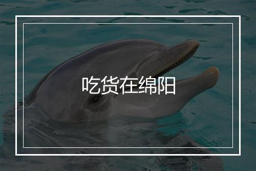 吃货在绵阳