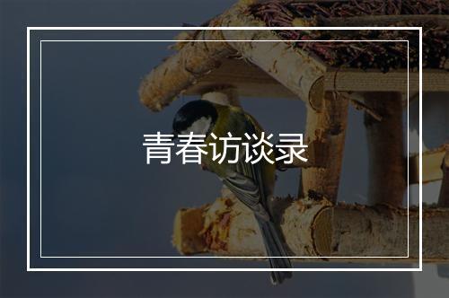 青春访谈录