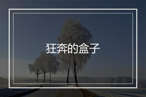 狂奔的盒子