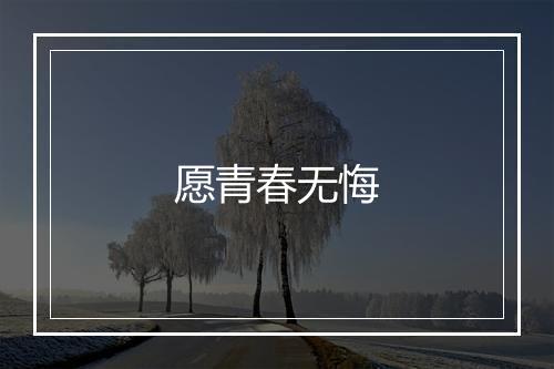 愿青春无悔