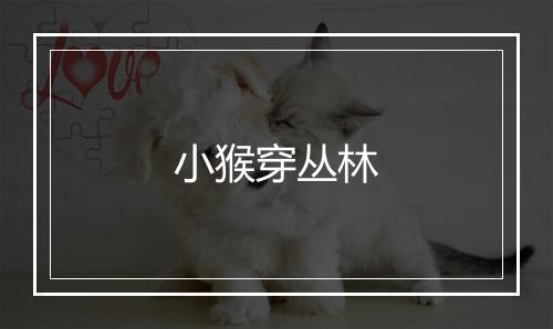 小猴穿丛林