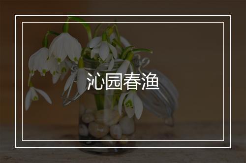 沁园春渔