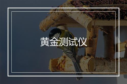 黄金测试仪