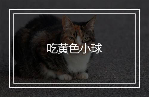 吃黄色小球