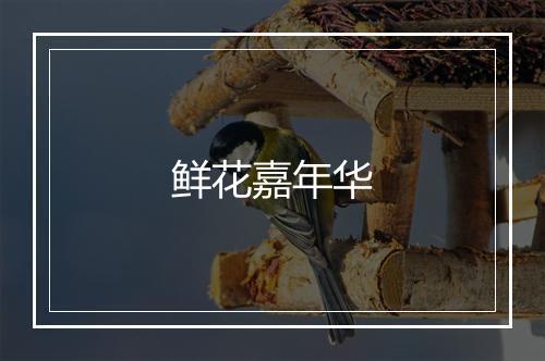 鲜花嘉年华