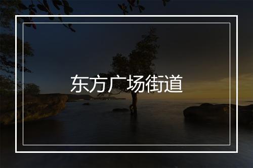 东方广场街道