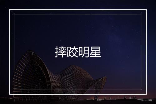 摔跤明星