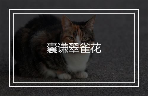 囊谦翠雀花