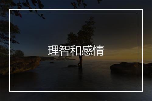 理智和感情