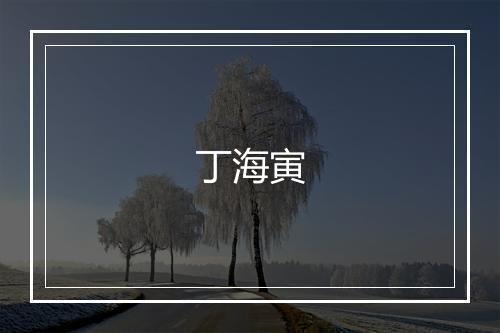 丁海寅