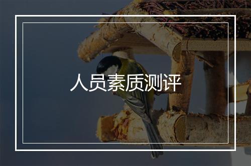 人员素质测评