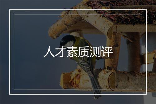 人才素质测评