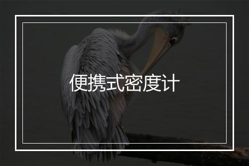 便携式密度计