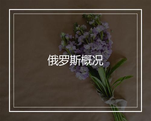 俄罗斯概况