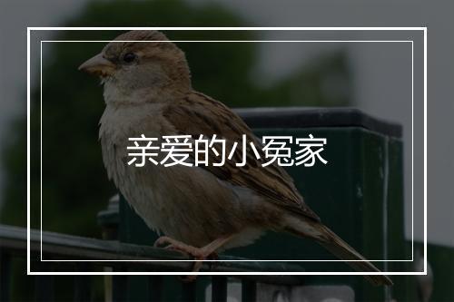 亲爱的小冤家