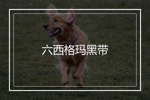 六西格玛黑带