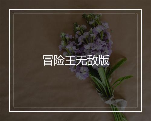 冒险王无敌版