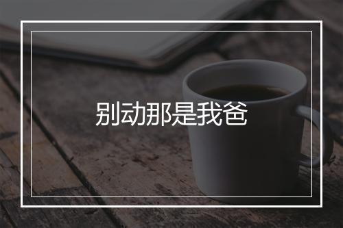 别动那是我爸