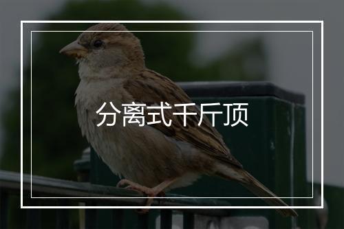 分离式千斤顶