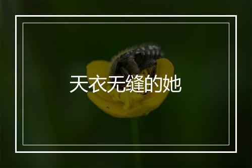 天衣无缝的她