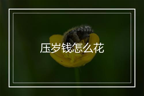 压岁钱怎么花