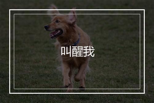 叫醒我