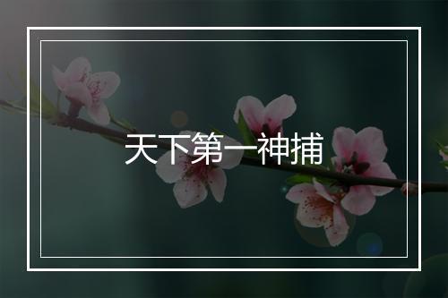 天下第一神捕