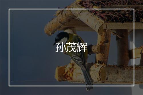 孙茂辉