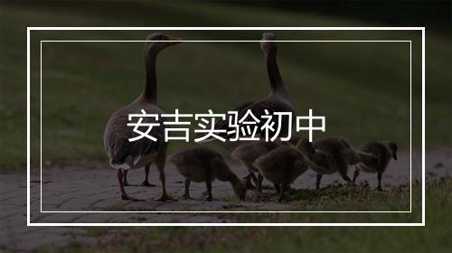 安吉实验初中