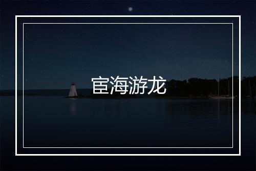 宦海游龙