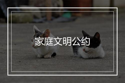 家庭文明公约