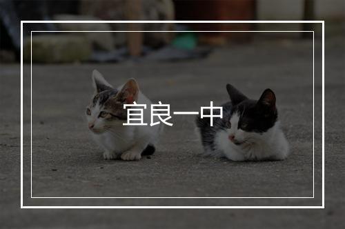 宜良一中