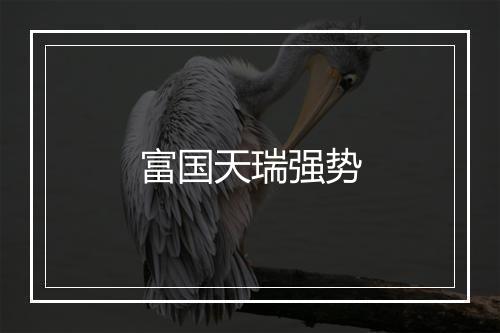 富国天瑞强势