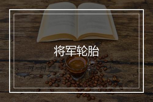 将军轮胎