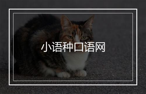 小语种口语网