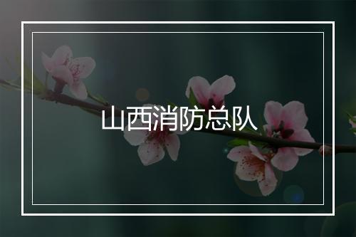 山西消防总队